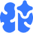 豐富的 AI 智能應用